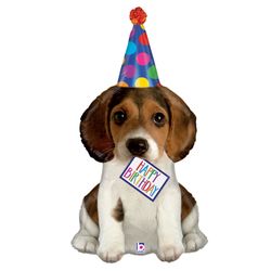 35561-Birthday-Puppy