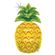 85583H-Sparkling-Pineapple